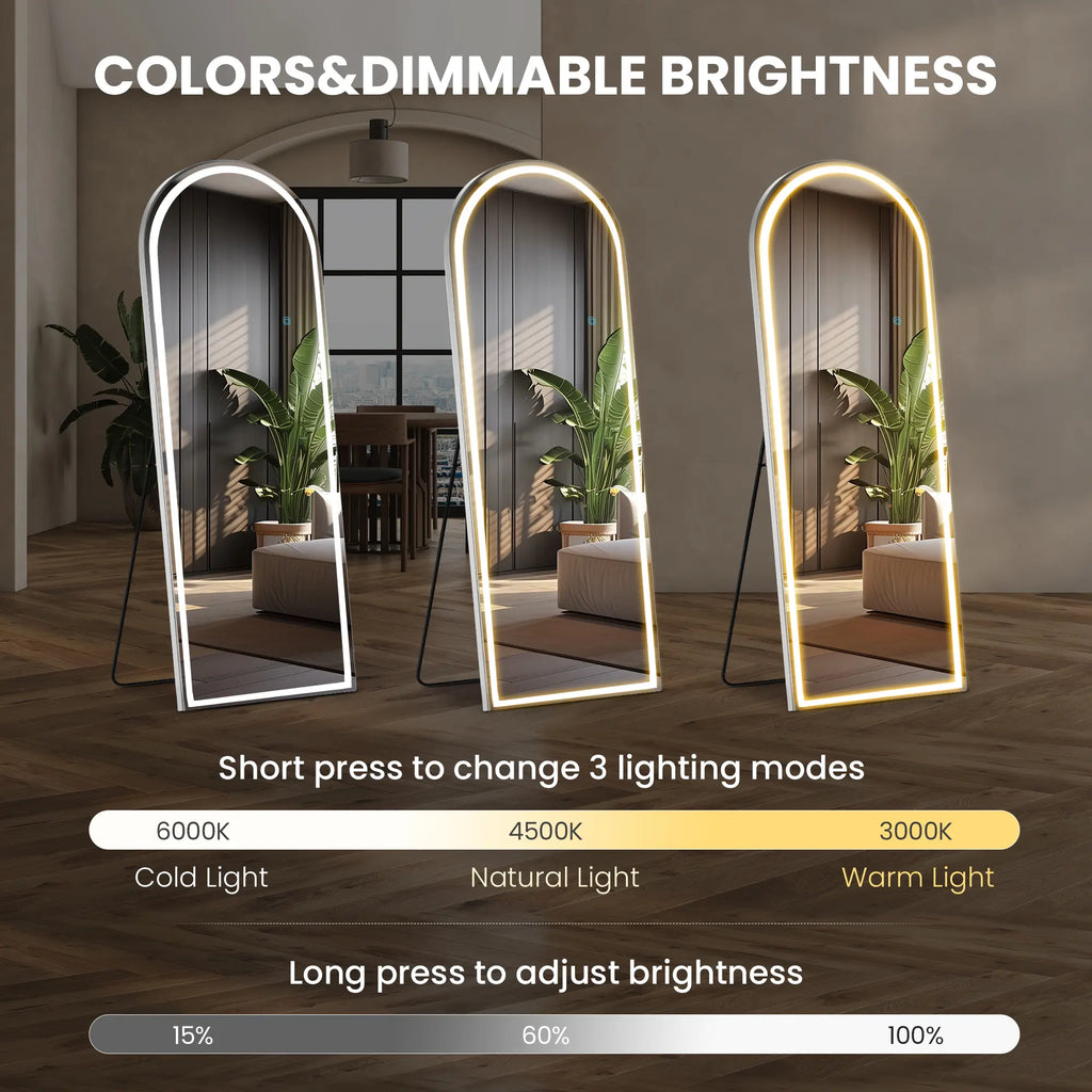 Stand Mirror Full Length with LED Lights